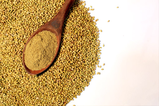 CORIANDER SEEDS POWDER