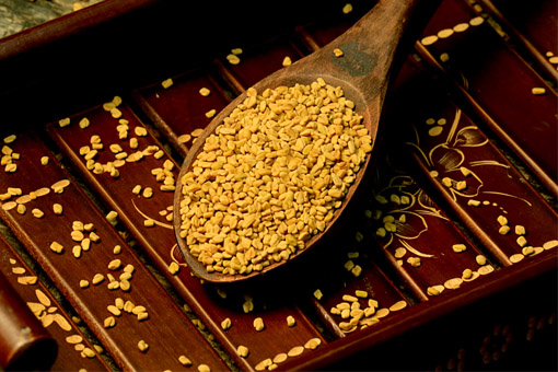 FENUGREEK SEEDS
