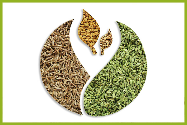 Cumin Seeds – J. Lal Foods Pvt. Ltd. : A Leading Exporter of Spices and Seeds from India.